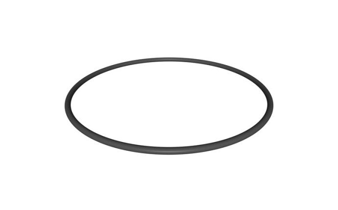 StarClear™ Plus Filter Head O-Ring CX900F