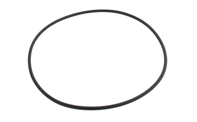 SwimClear™ Lid O-Ring CXFHR1001