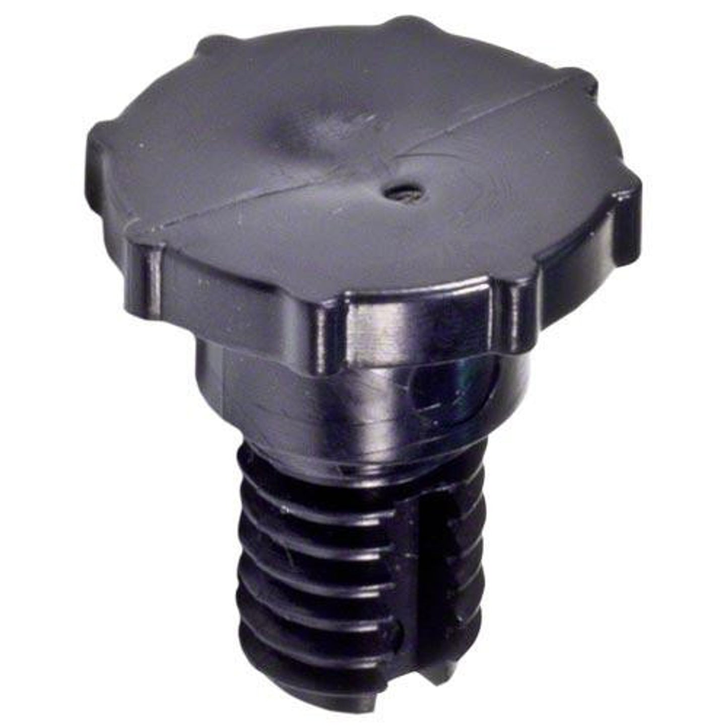 Air Release Valve R172224X Pentair