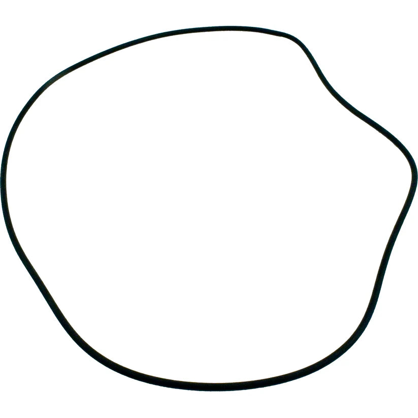 O-ring-31-110-1220