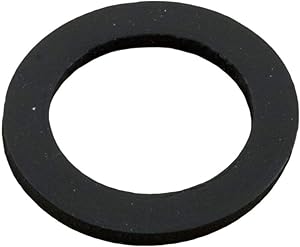 Pentair Drain Gasket