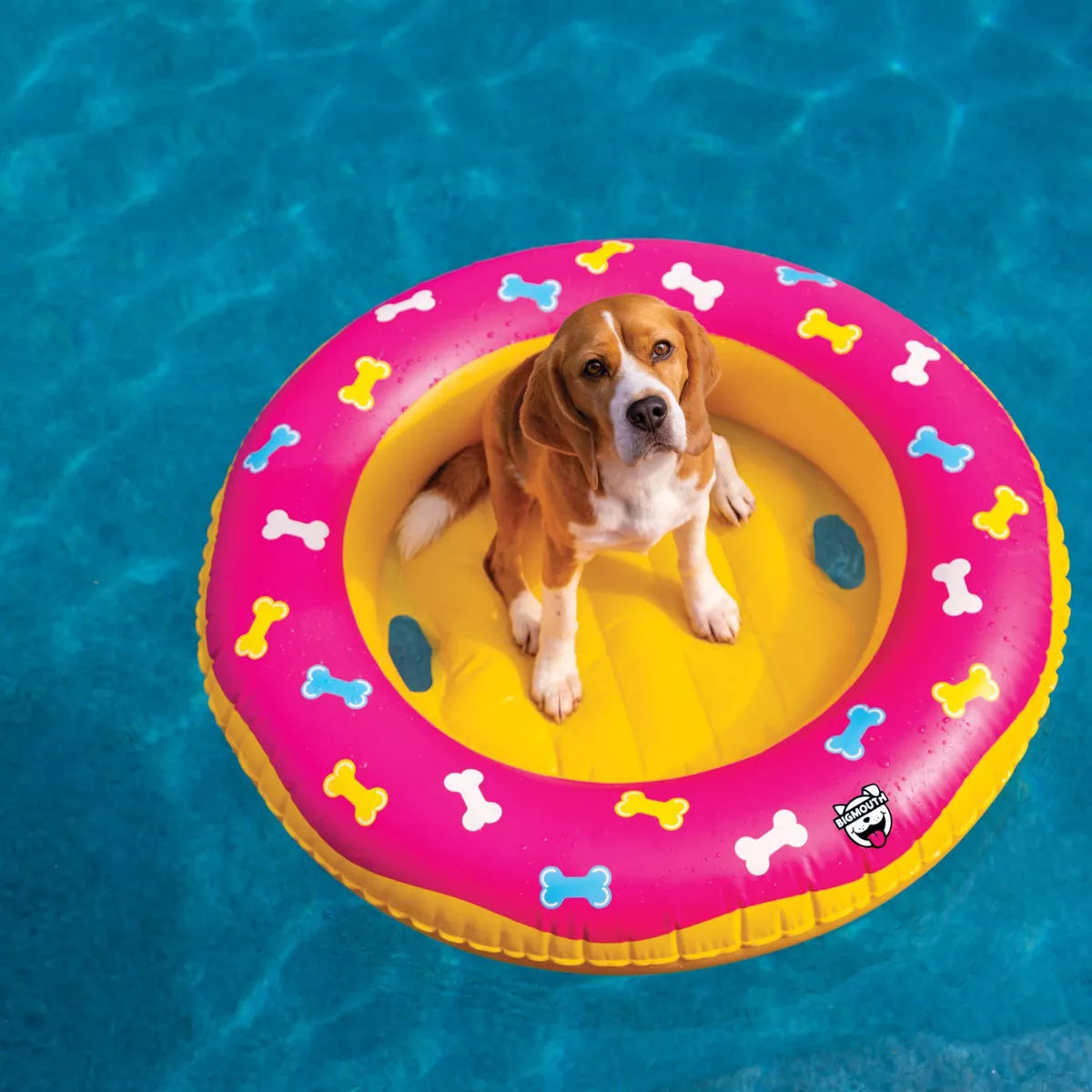Donut Dog Float