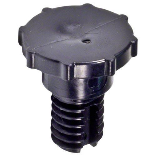 Air Release Valve R172224X Pentair