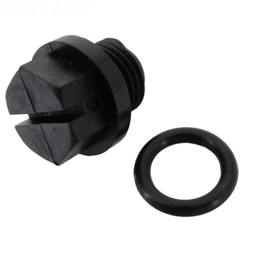 PLUG WITH GASKET-SPX1700FG
