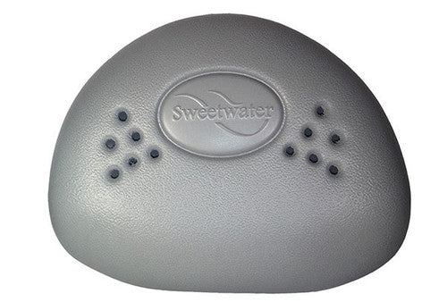 Pillow SWTWTR 2003 BAG’D