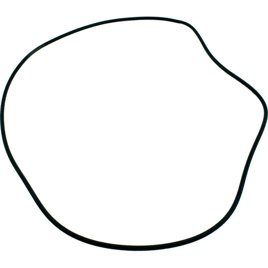O-ring-31-110-1220