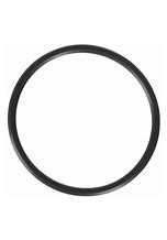 Hayward Union O-Ring-SPX1495Z1